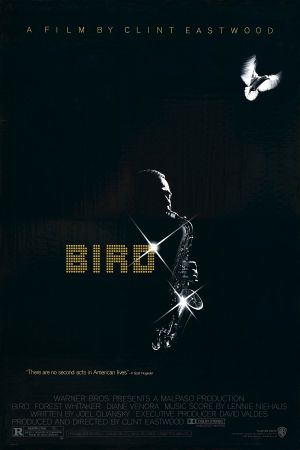 Bird Poster