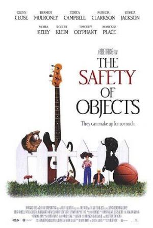 The Safety of Objects Poster