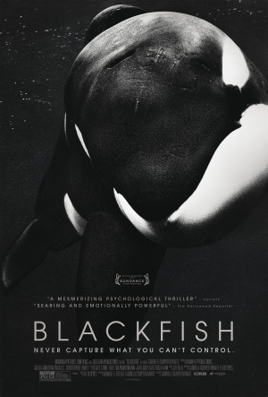 Blackfish Poster